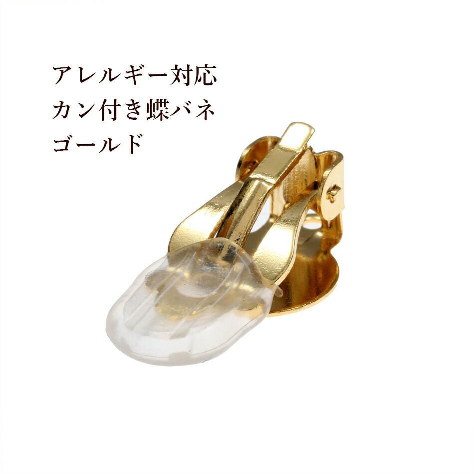 蝶バネイヤリング サージカルステンレス メルカリ便 22日まで 蝶バネイヤリング サージカルステンレス メルカリ便 22日までの通販は