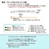 ［10個］サージカルステンレス雫付きアジャスターチェーン［銀シルバー］金具ネックレスアンクレットパーツアレルギー対応