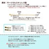 ［5個］サージカルステンレス雫付きアジャスターチェーン中［★ピンクゴールド］金具ネックレスアンクレットパーツアレルギー対応