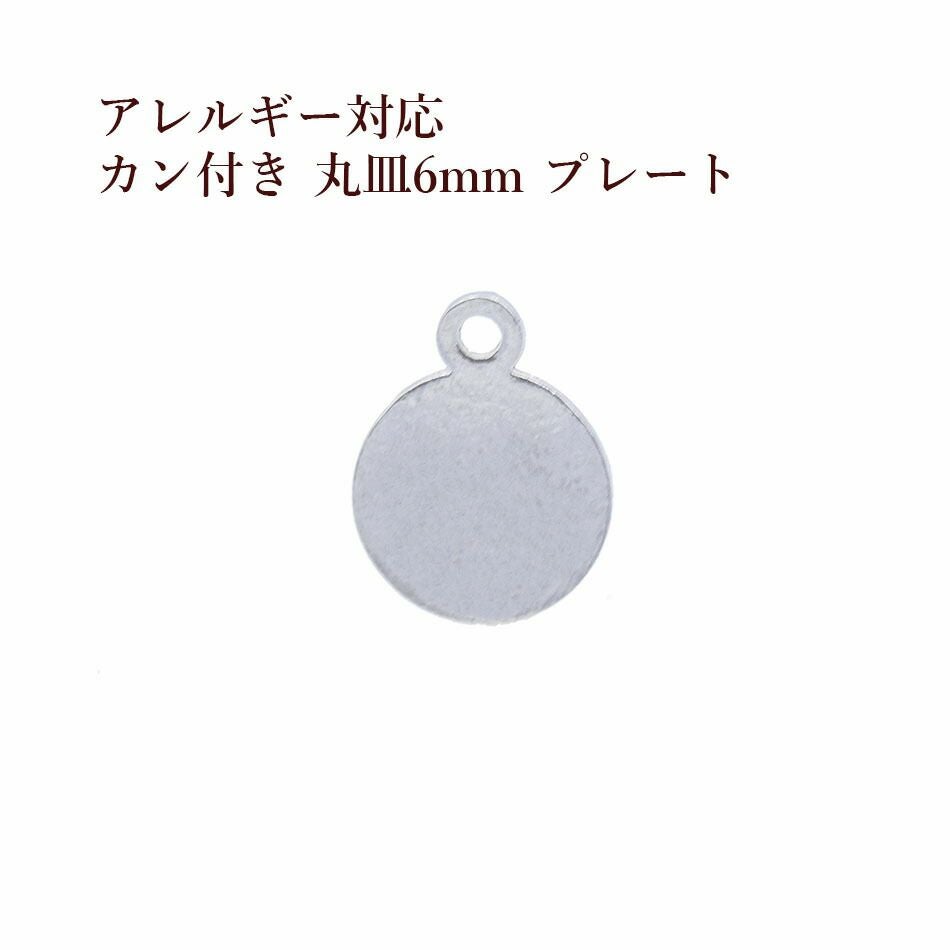 50個］ サージカル ステンレス カン付き 丸皿 プレート 4mm [ 銀