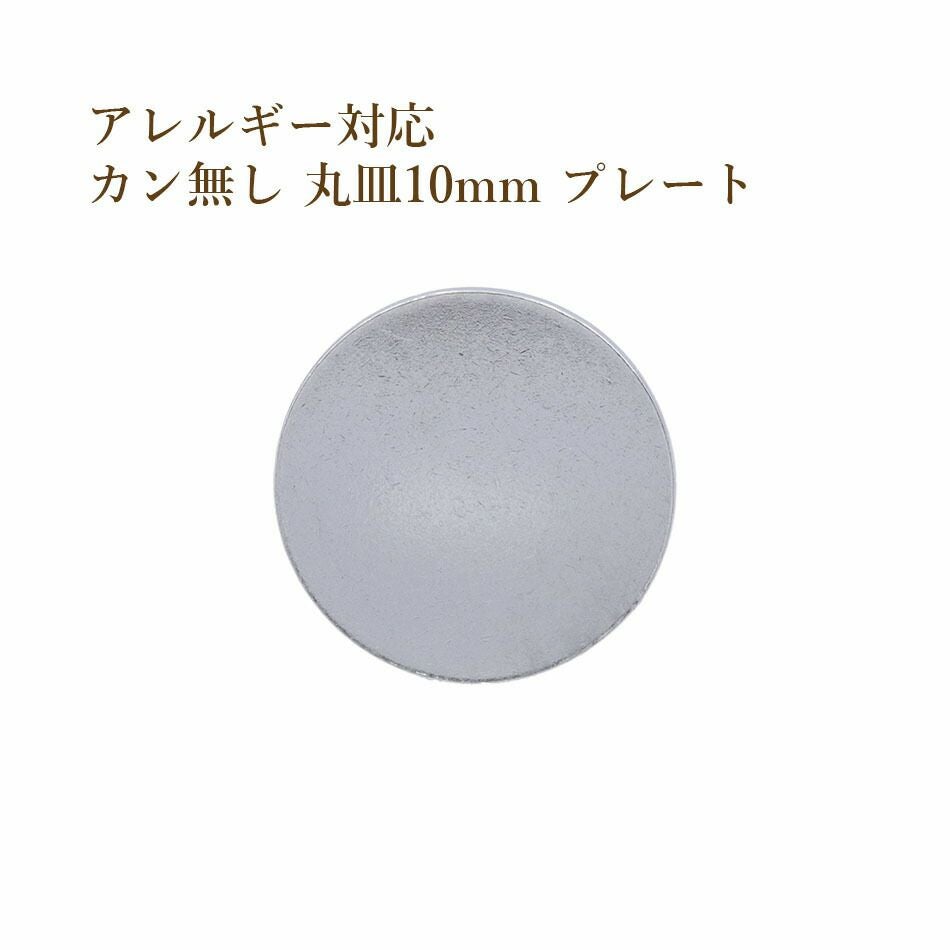 専用です　丸銀10枚　本物保証 20個］ サージカル ステンレス カン無し 丸皿 プレート 10mm [ 銀