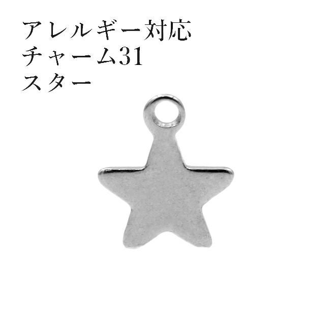 10個] サージカルステンレス チャーム 34 平面 スター 星 [ 銀