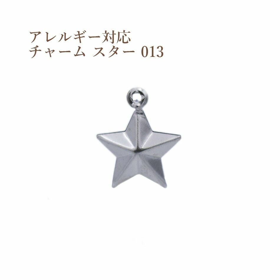 5個] サージカル ステンレス メタル チャーム 13 スター 星 [ 銀