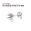 ピアス