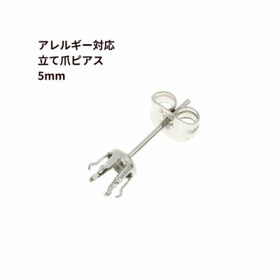 20個] 立て爪5mm ピアス ［ 銀 シルバー ］ サージカルステンレス 