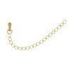 ［10個］サージカルステンレス雫付きアジャスターチェーン極小【単品】［ゴールド金］金具ネックレスアンクレットパーツアレルギー対応