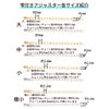 ［20個］サージカルステンレス雫付きアジャスターチェーン極小【単品】［銀シルバー］金具ネックレスアンクレットパーツアレルギー対応