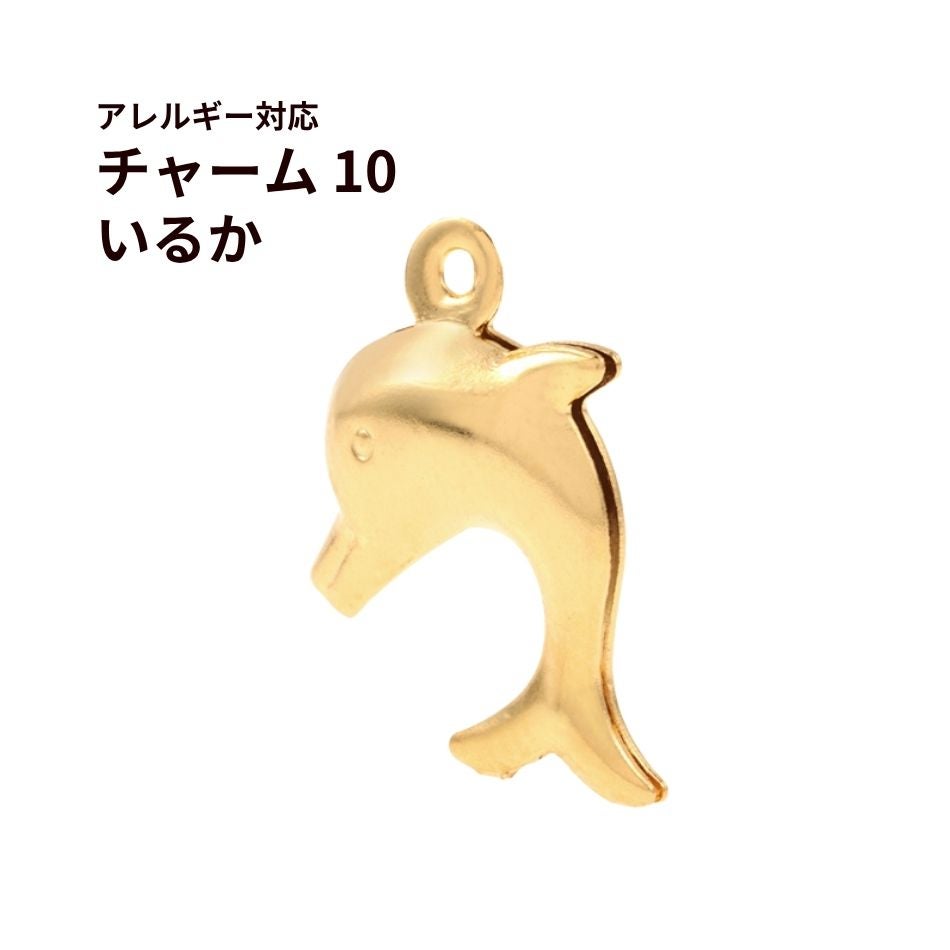 5個］チャーム 10 いるか ドルフィン 海 マリン [ 銀 シルバー