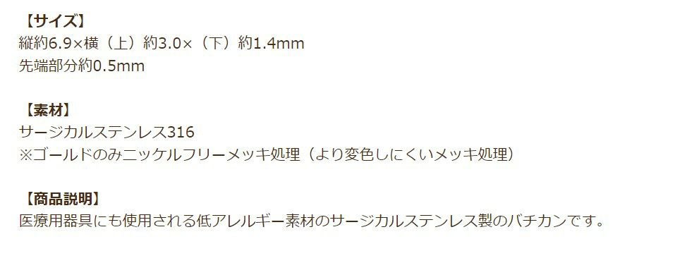 バチカン B小 シルバー 商品説明