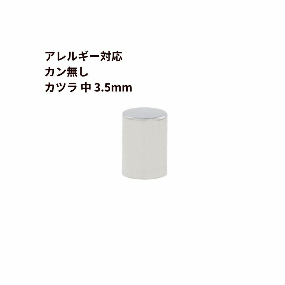 10個 ] ［ カン無し ］ * カツラ * 小 2mm [ 銀 シルバー ] サージカル