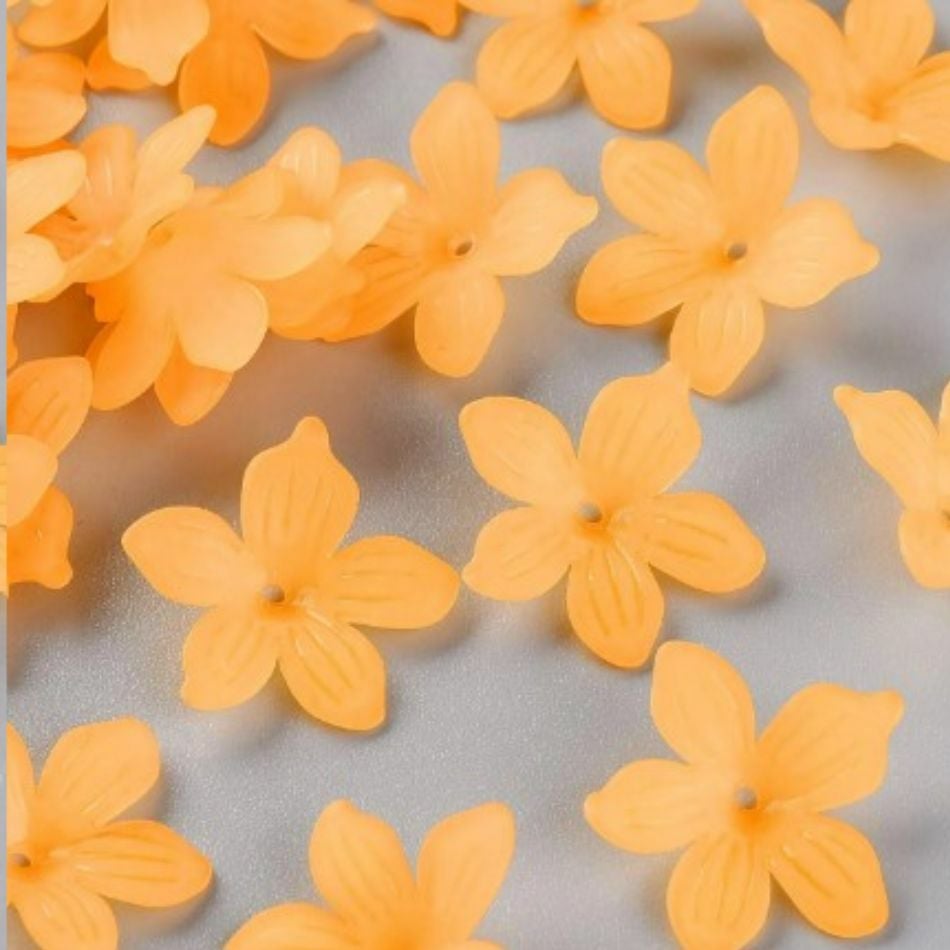 000000003798-02.jpg?size=l&w=