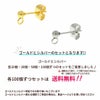 316 縦向きカン付き ボールピアス 3mm 紹介