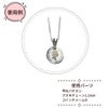 甲丸 バチカン 使用例