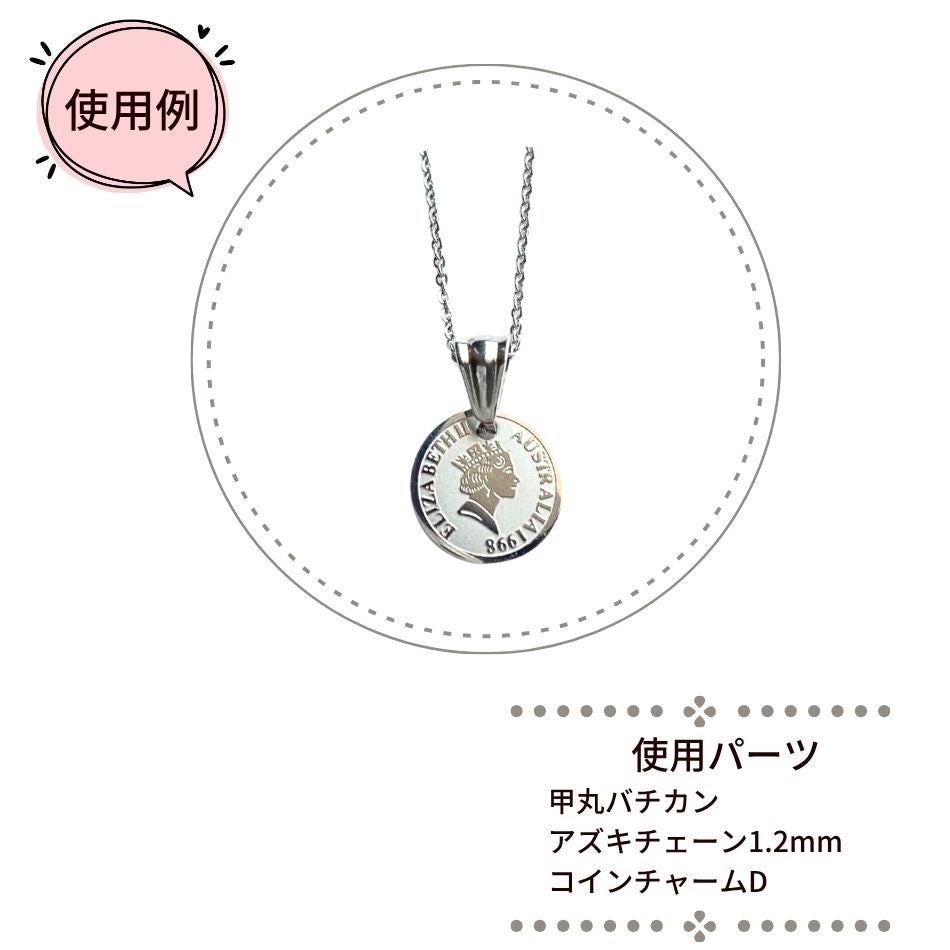 甲丸 バチカン 使用例