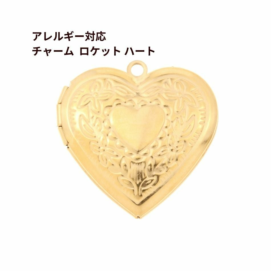送料込み * [ 1個 ] サージカル ステンレス チャーム 【 ロケット