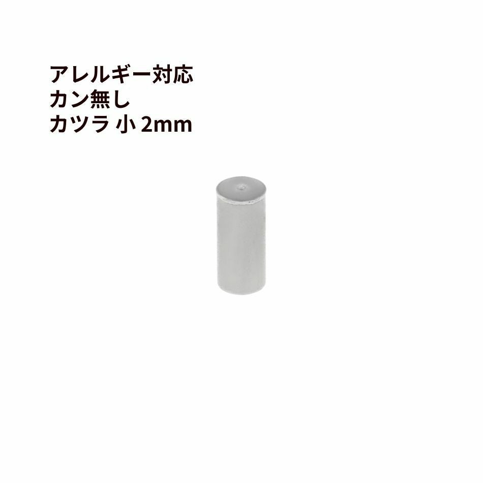 20個 ] ［ カン無し ］ * カツラ * 小 2mm [ 銀 シルバー ] サージカル