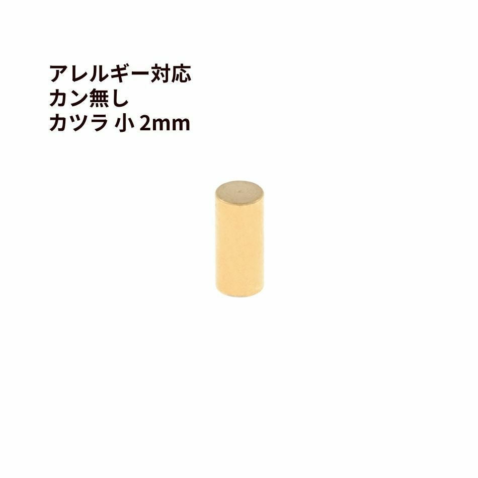 10個 ] ［ カン無し ］ * カツラ * 小 2mm [ ゴールド 金 ] サージカル