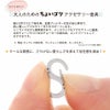 ミニ S字 カラビナ 紹介