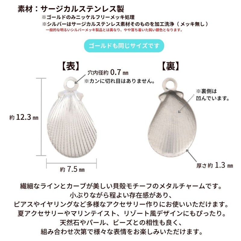 チャーム 貝 中 シルバー サイズ詳細