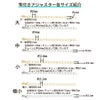 サージカルステンレス雫付きアジャスターチェーン小【単品】［金具ネックレスアンクレットパーツアレルギー対応