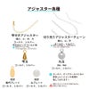 ［5個］サージカルステンレス雫付きアジャスターチェーン小【単品】金具ネックレスアンクレットパーツアレルギー対応