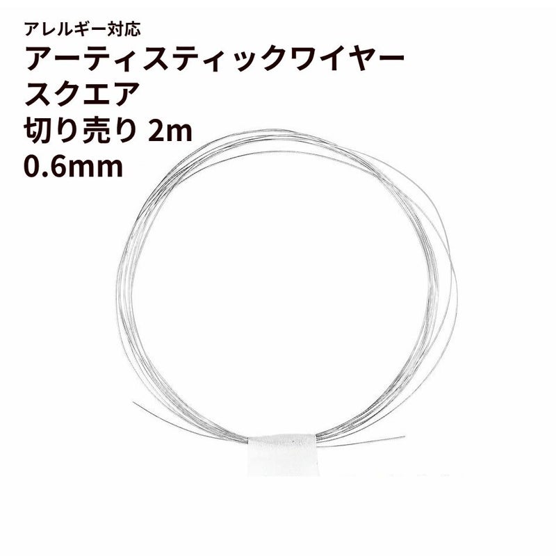 [約2m] * 切り売り * ［ 22G 0.6mm ］ アーティスティックワイヤー スクエア 角線  ［ 銀 シルバー ］